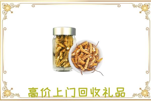 红山周边回收虫草